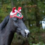 KERST oornetje A-Pony en Pony OPRUIMING, Dieren en Toebehoren, Ophalen of Verzenden, Nieuw, Overige soorten