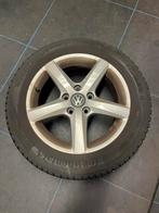 Orginele golf velgen met winterbanden 205-55 R16, Auto-onderdelen, Banden en Velgen, Ophalen, Gebruikt, 16 inch, Banden en Velgen