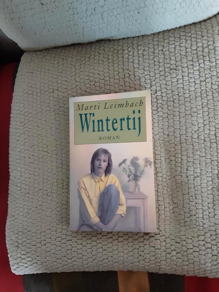 Marti Leimbach----Wintertij    roman, Boeken, Romans, Zo goed als nieuw, Amerika, Ophalen of Verzenden