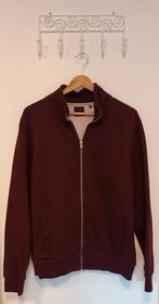 Superdry vest XL, kleur aubergine.
Gedragen maar nog goed., Ophalen of Verzenden, Gedragen, Maat 56/58 (XL), Superdry