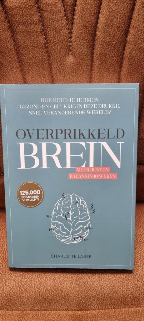 Charlotte Labee - Overprikkeld brein, Boeken, Psychologie, Zo goed als nieuw, Ophalen