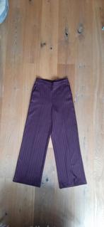 Corel Carmelia Krijtstreep Broek - Maat 38, Corel, Paars, Ophalen of Verzenden, Zo goed als nieuw