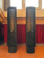 Martin Logan Scenario met werk, Gebruikt, 120 watt of meer, Front, Rear of Stereo speakers, Ophalen