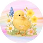 L540 luxe icing kuiken 20cm eetbare taart plaat print top, Ophalen of Verzenden, Nieuw, Taarten, Versiering