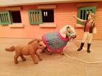 Schleich shetlander Set met Ruiter, Ophalen of Verzenden, Zo goed als nieuw, Overige typen