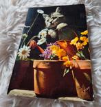 Poesje tussen de bloempotten, Verzenden, 1960 tot 1980, Gelopen, Hond of Kat