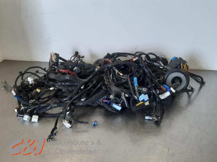 Kabelboom van een Renault Trafic, Gebruikt, -, Renault, -