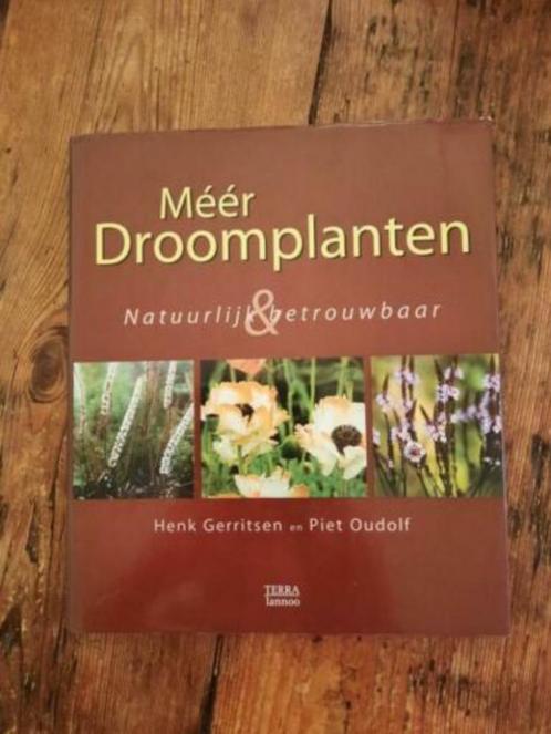 Méér droomplanten . Henk Gerritsen & Piet Oudolf, Boeken, Wonen en Tuinieren, Gelezen, Ophalen of Verzenden