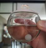 Eau de toilette Noa cacharel, Ophalen of Verzenden, Zo goed als nieuw