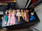 Partij barbie fleur en sindy poppen en meubeltjes, Kinderen en Baby's, Speelgoed | Poppen, Ophalen of Verzenden, Gebruikt, Barbie