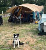 Montage Cabanon Biscaya 440 - 6 pers tent, Caravans en Kamperen, Tenten, Ophalen, Gebruikt, Tot en met 6