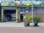 kweekspullen tegen de scherpste prijzen, Tuin en Terras, Kweekspullen, Ophalen, Nieuw, Overige typen