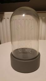 Lichtgevende Ananas in Glazen Koepel, Ophalen