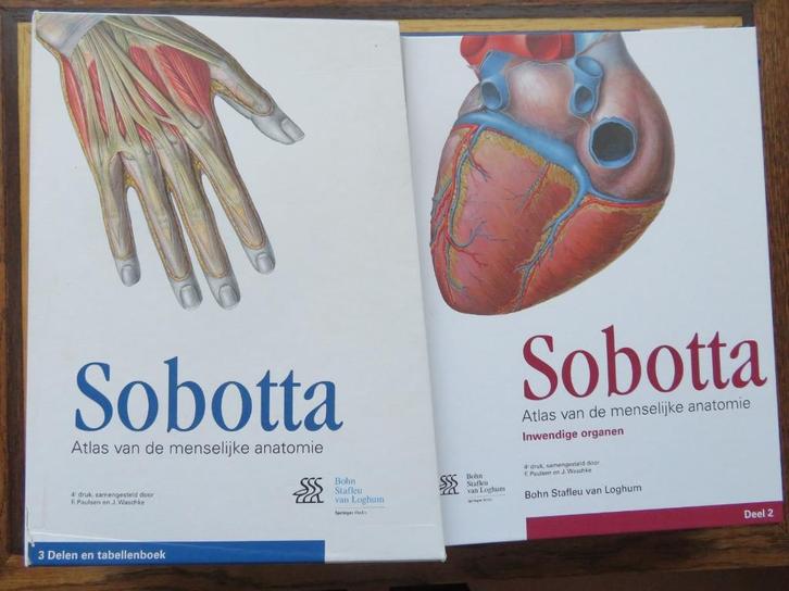 SOBOTTA - atlas menselijke anatomie - 3 delen + tabellen, Boeken, Studieboeken en Cursussen, Zo goed als nieuw, WO, Beta, Ophalen