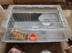 Kooi voor hamster of muis, Kooi, Gebruikt, Minder dan 75 cm, Hamster