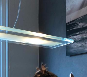 Glazen led lamp philips ledino beschikbaar voor biedingen