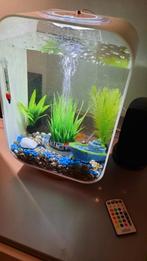 Biorb 15l aquarium - accessoires, planten, vissen, garnalen, Dieren en Toebehoren, Vissen | Aquaria en Toebehoren, Ophalen, Gebruikt
