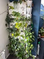 Minigarden Plantenmuur met Irrigatie, Tuin en Terras, Ophalen, Tuin, Kunststof, Gebruikt