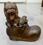 yorkshire terrier massief messing hond in shoes, Ophalen of Verzenden