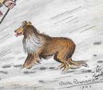 uk 1903 man hond schotse collie Colley illustr. Rowland, Overige thema's, Ongelopen, Voor 1920, Verzenden