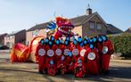 Carnaval groep chinese draak, Kleding | Dames, Carnavalskleding en Feestkleding, Maat 38/40 (M), Carnaval, Ophalen of Verzenden