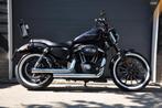 Harley Davidson XL 883N Sportster Iron, Motoren, Motoren | Harley-Davidson, Chopper, Bedrijf, 883 cc, Meer dan 35 kW