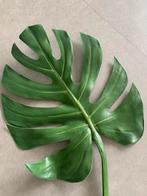 Kunststof takken 74 cm decoratie nieuw!, Ophalen of Verzenden, Zo goed als nieuw