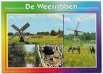 De weerribben Ongelopen Ansichtkaart (B2394, Ophalen of Verzenden, 1980 tot heden, Ongelopen