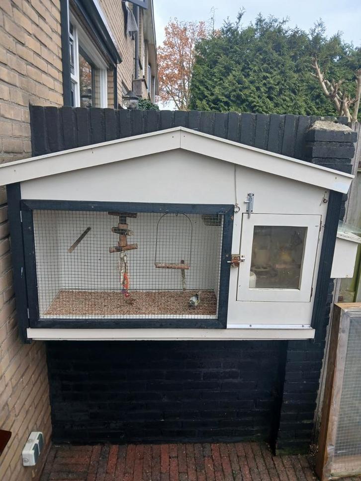 Vogelhok aan muur, Tuin en Terras, Tuinhuizen, Ophalen