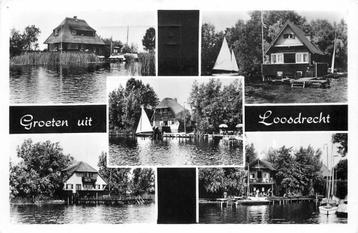 (304-027-019) Loosdrecht Groeten uit beschikbaar voor biedingen