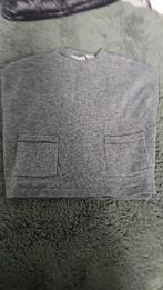 Zara Spencer Grijs Maat 98/104, Kinderen en Baby's, Kinderkleding | Maat 98, Gebruikt, Meisje, Trui of Vest, Ophalen of Verzenden