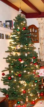 Kerstboom met standaard in doos +/- 2.30 hoog, Ophalen, Gebruikt