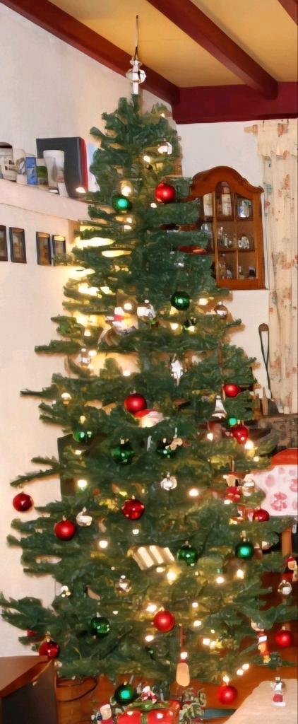 Kerstboom met standaard in doos +/- 2.30 hoog, Diversen, Kerst, Gebruikt, Ophalen