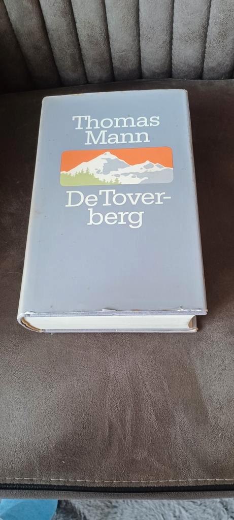 De Toverberg Thomas mann, Boeken, Literatuur, Gelezen, Nederland, Ophalen of Verzenden