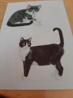 66 platen Franciens katten, in prijs verlaagd, Verzenden, Nieuw
