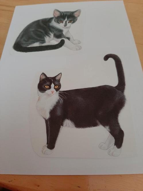 66 platen Franciens katten, in prijs verlaagd, Hobby en Vrije tijd, Knutselen, Nieuw, Verzenden