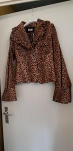 Kolbert dames, Bruin, Nieuw, Ophalen of Verzenden, Maat 36 (S)