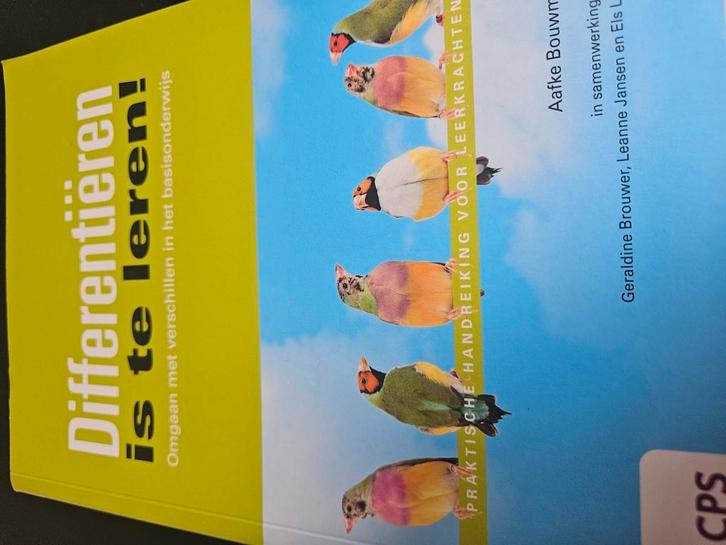 Aafke Bouwman - Differentieren is te leren!, Boeken, Wetenschap, Zo goed als nieuw, Ophalen of Verzenden