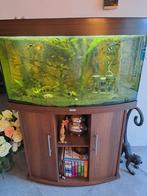 Juwel aquarium. Met filter, lamp en zuurstofpomp., Dieren en Toebehoren, Vissen | Aquaria en Toebehoren, Gebruikt, Verzenden, Gevuld zoetwateraquarium