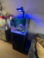 Zeeaquarium Bluemarine reef 125L 2 jaar oud incl aankoopbon!, Dieren en Toebehoren, Vissen | Aquaria en Toebehoren, Ophalen, Zo goed als nieuw