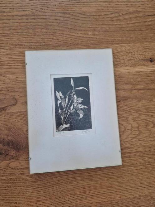 Ets van een paar bloeiende lelies jaren 80, Antiek en Kunst, Kunst | Etsen en Gravures, Ophalen of Verzenden
