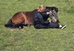 Dieren oppas aangeboden, Ophalen, Nieuw