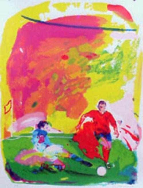 " de Nees  " zeefdruk van Jan van Diemen € 50, Antiek en Kunst, Kunst | Litho's en Zeefdrukken, Ophalen of Verzenden