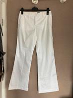 Pauw flare spierwitte broek mt 40., Kleding | Dames, Broeken en Pantalons, Maat 38/40 (M), Wit, Pauw, Ophalen of Verzenden