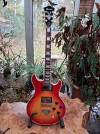 ibanez cn 200 concert, Ophalen of Verzenden, Gebruikt, Solid body, Ibanez