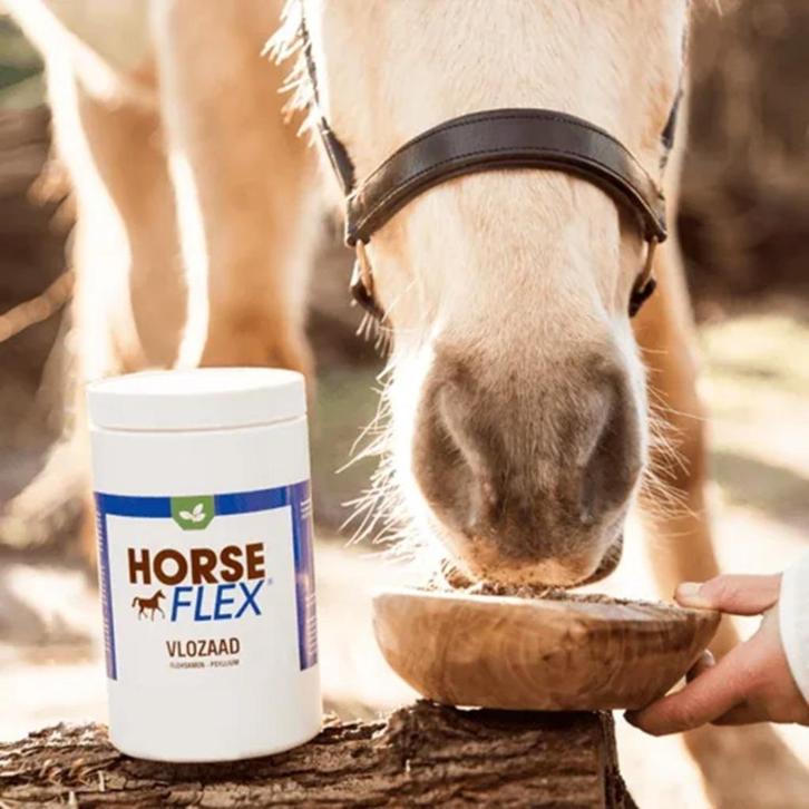 Vlozaad 100% psylliumzaad voor paarden - vanaf € 13,50, Dieren en Toebehoren, Paarden en Pony's | Verzorgingsproducten, Nieuw