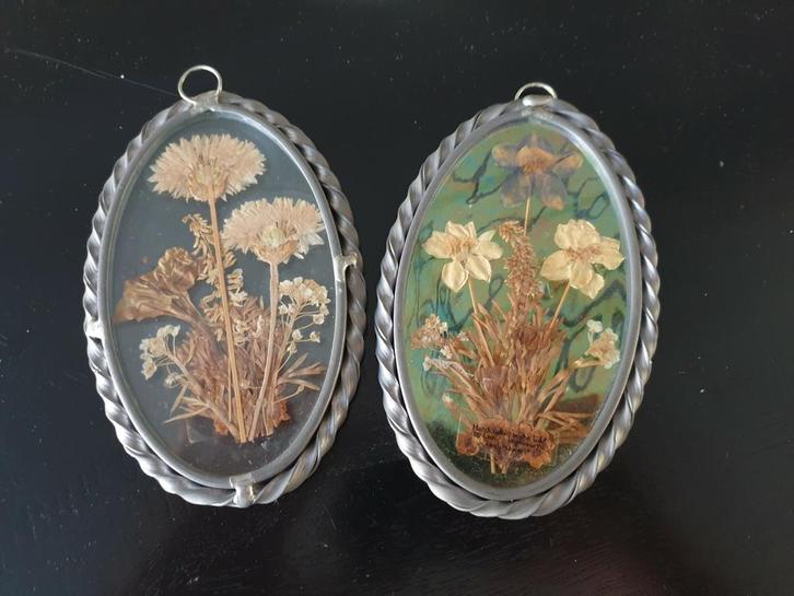 Vintage droogbloemen in raamhanger wanddecoratie, Huis en Inrichting, Woonaccessoires | Droogbloemen, Gebruikt, Ophalen of Verzenden