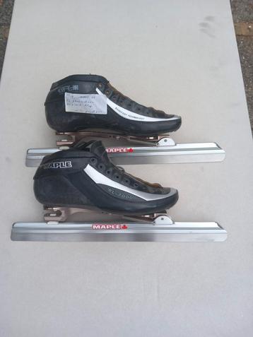 Klapschaats Maple 41 beschikbaar voor biedingen