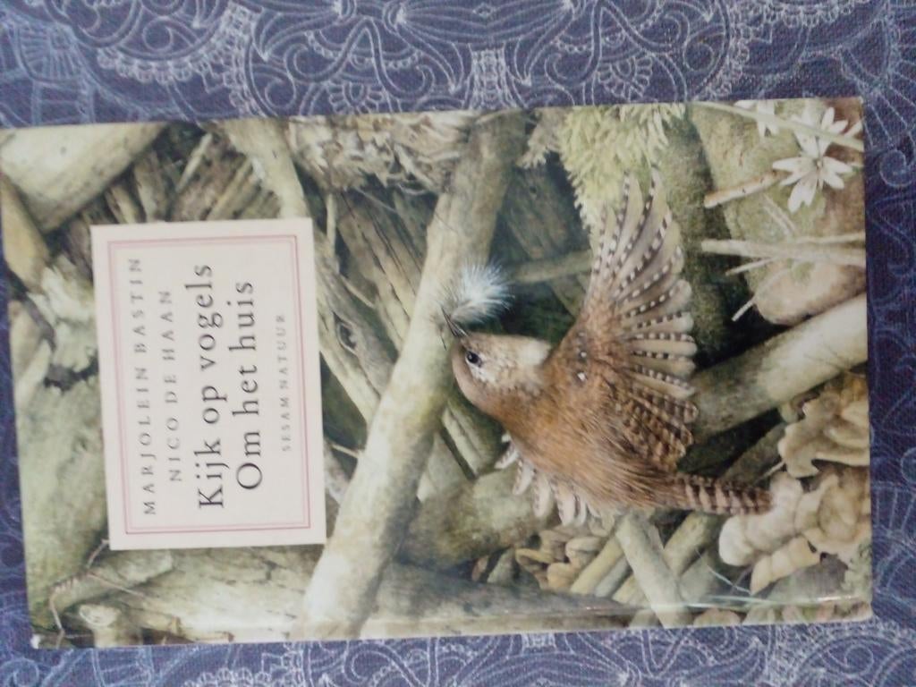 Kijk op vogels - Natuurgids, Ophalen of Verzenden