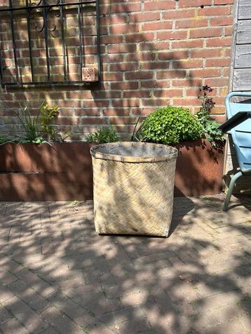 Bamboe bloembak beschikbaar voor biedingen